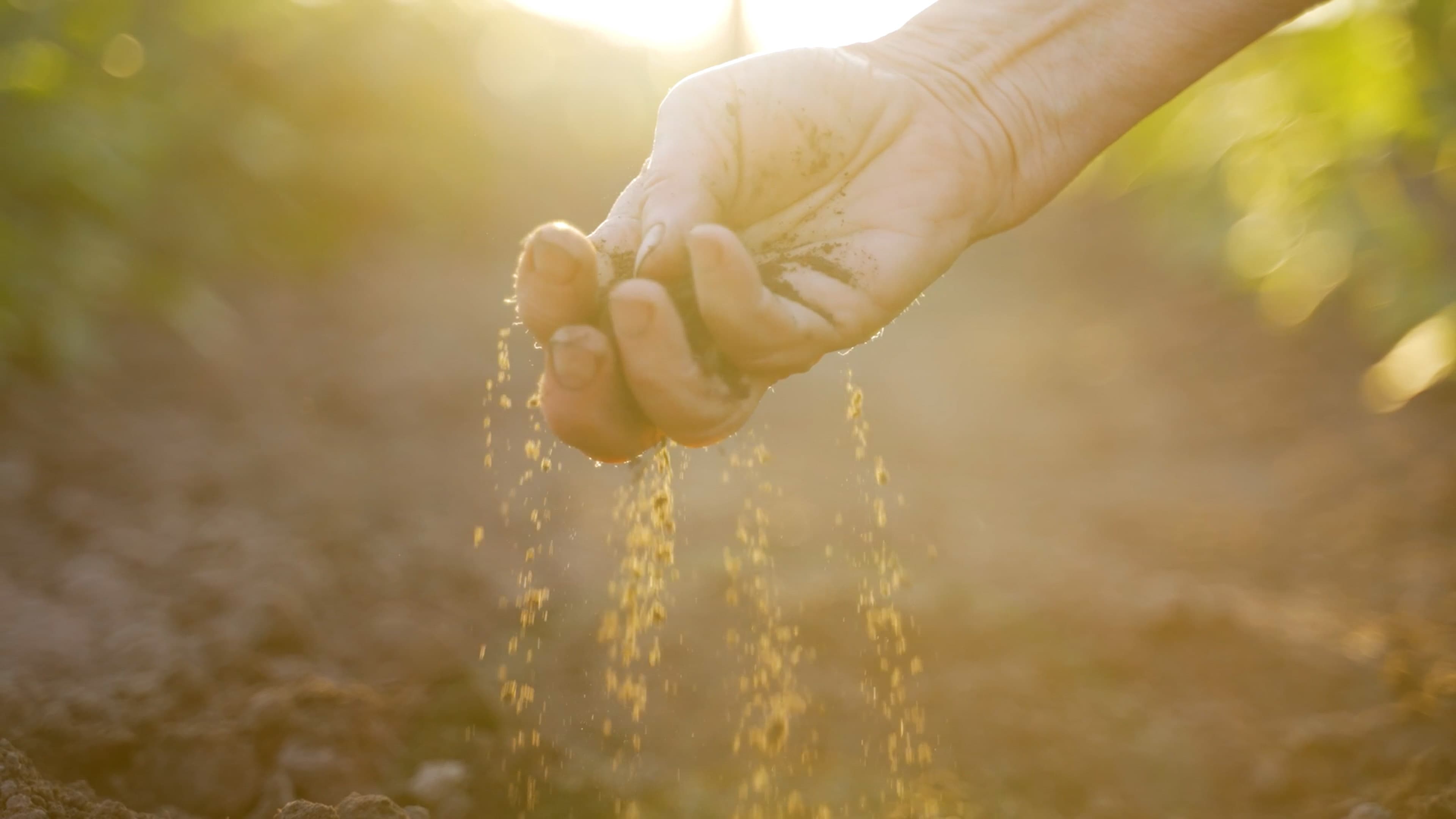 A hand releasing soil into a sunlit field, evoking early-stage agricultural technology